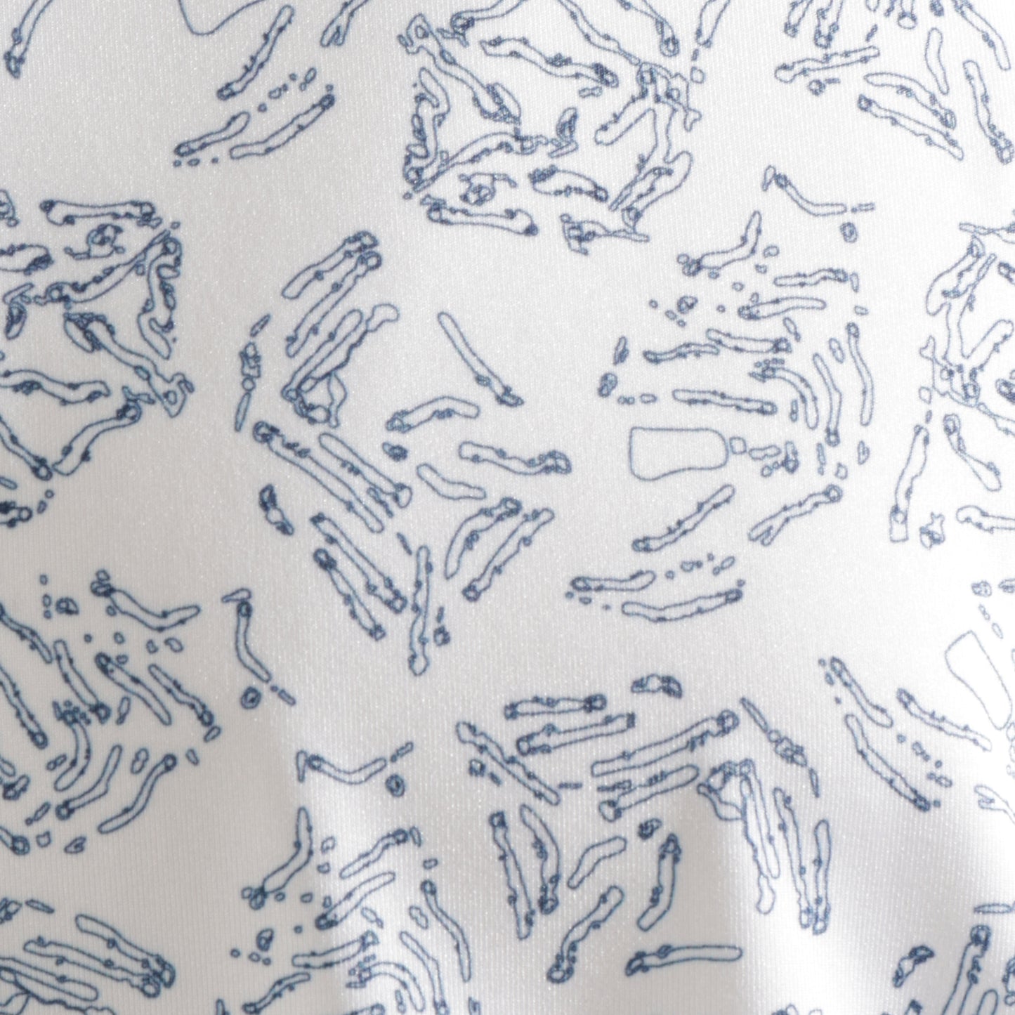 Albatross Polo - Majors - White