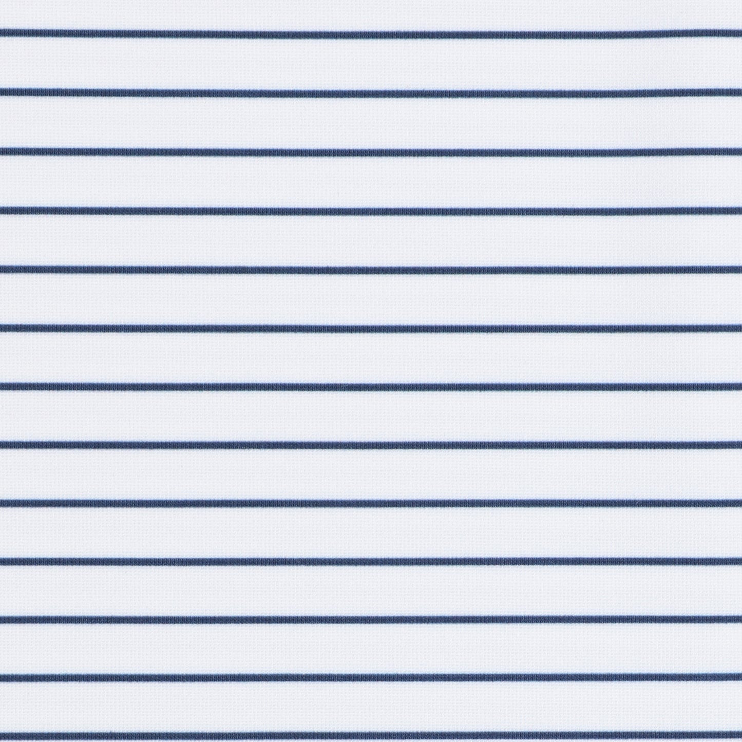 Albatross Youth Polo - Medieval / White Pinstripe