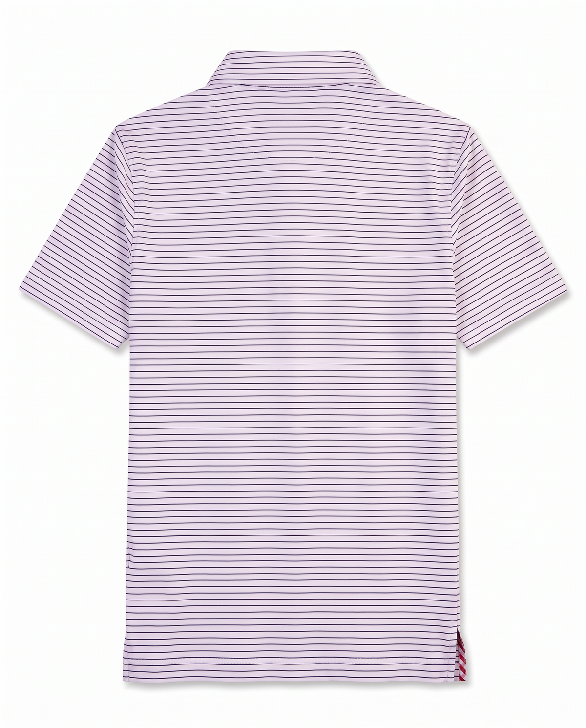 Albatross Polo Medieval White Pinstripe back