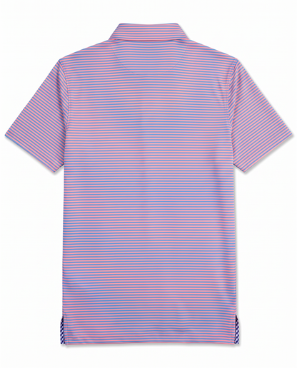 Albatross Polo Feeder Stripe - Coral/Regatta - Back