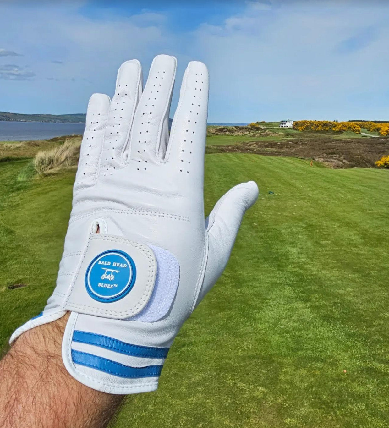 Men's Golf Glove